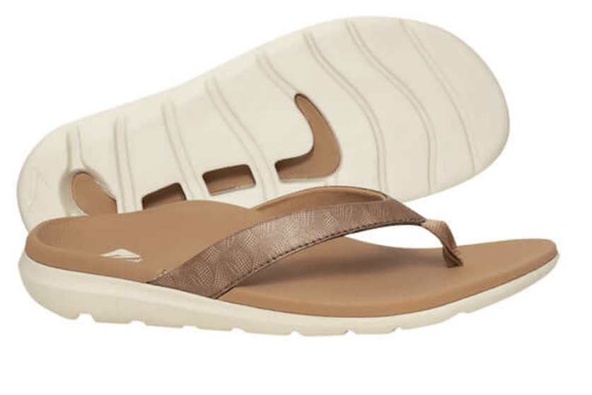 Ascent Groove Sandal Womens - My Shoe Specialist & My School Shoes