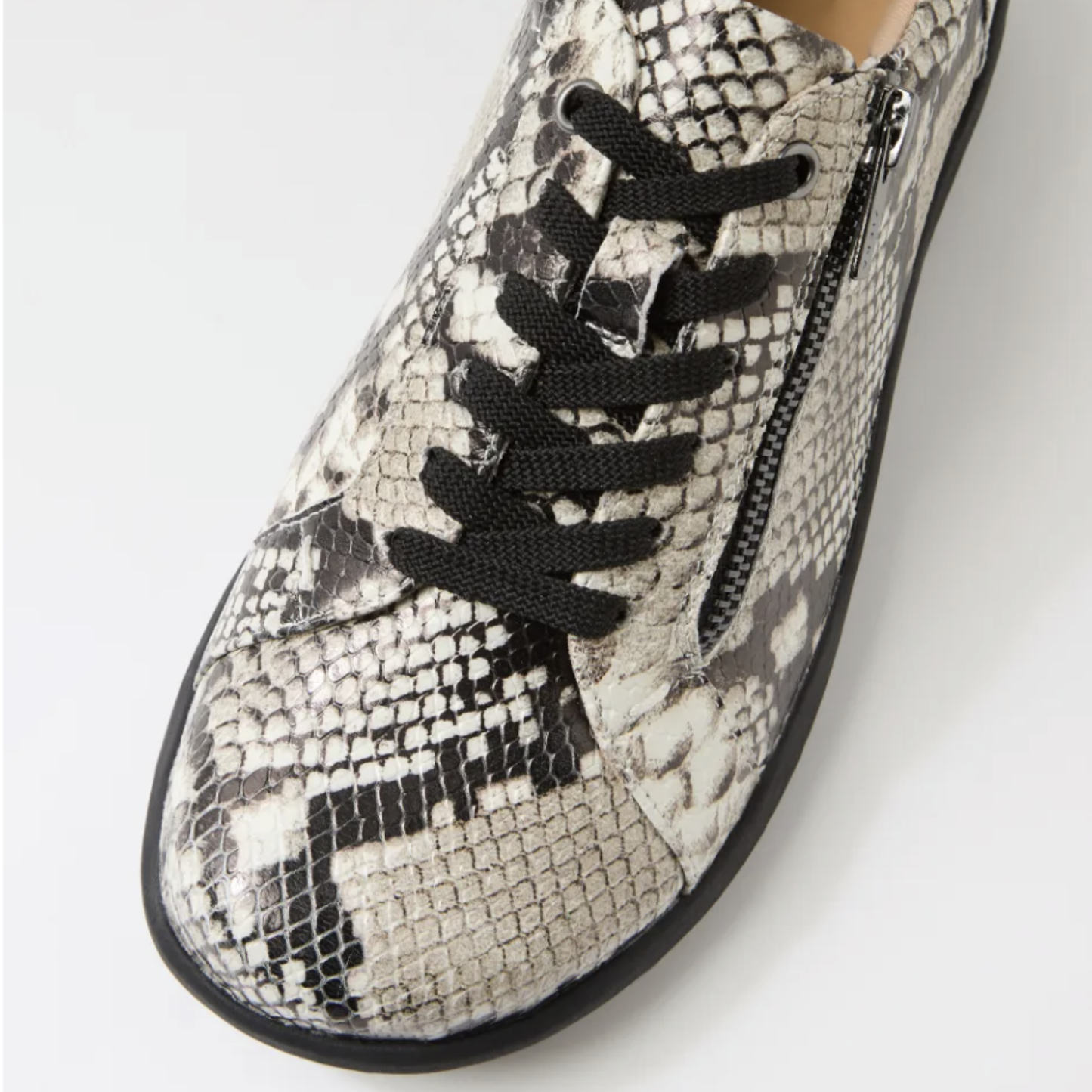 Ziera Solar Blk/Wht/Snake XF-ZR