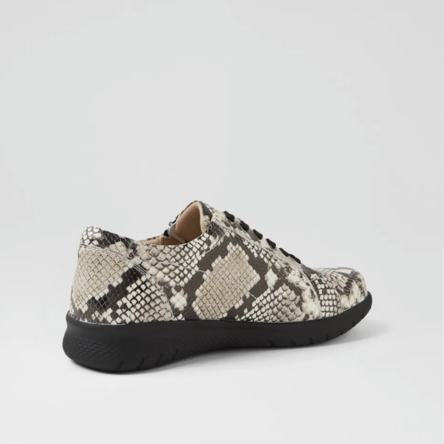 Ziera Solar Blk/Wht/Snake XF-ZR