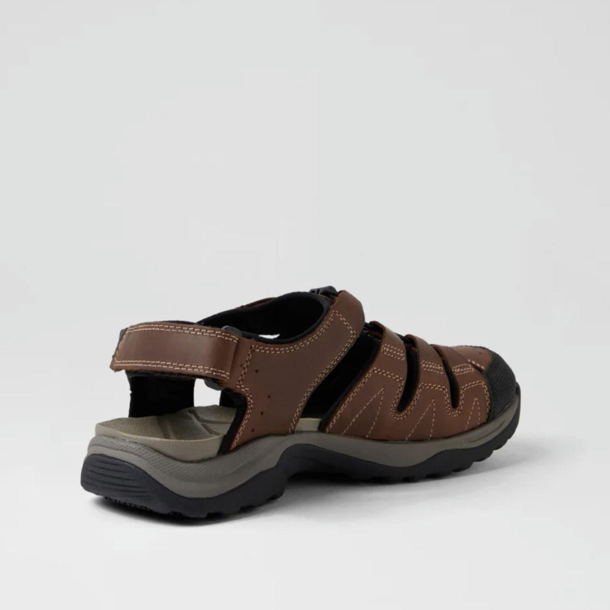 Colorado Jaws-CF - My Shoe Specialist & My School Shoes