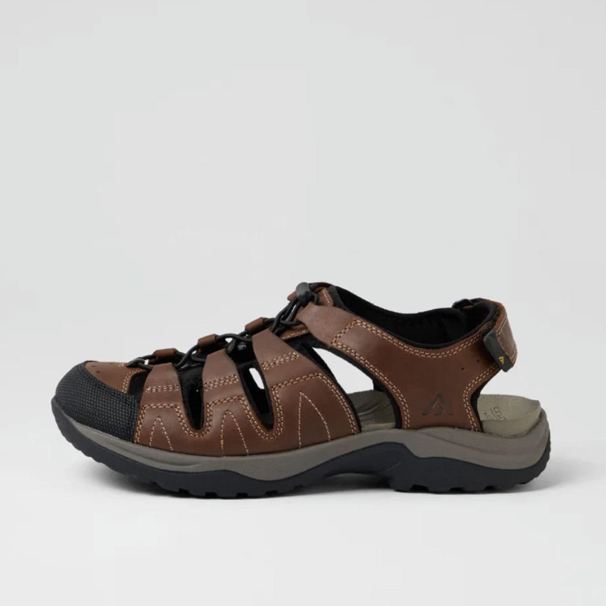 Colorado Jaws-CF - My Shoe Specialist & My School Shoes