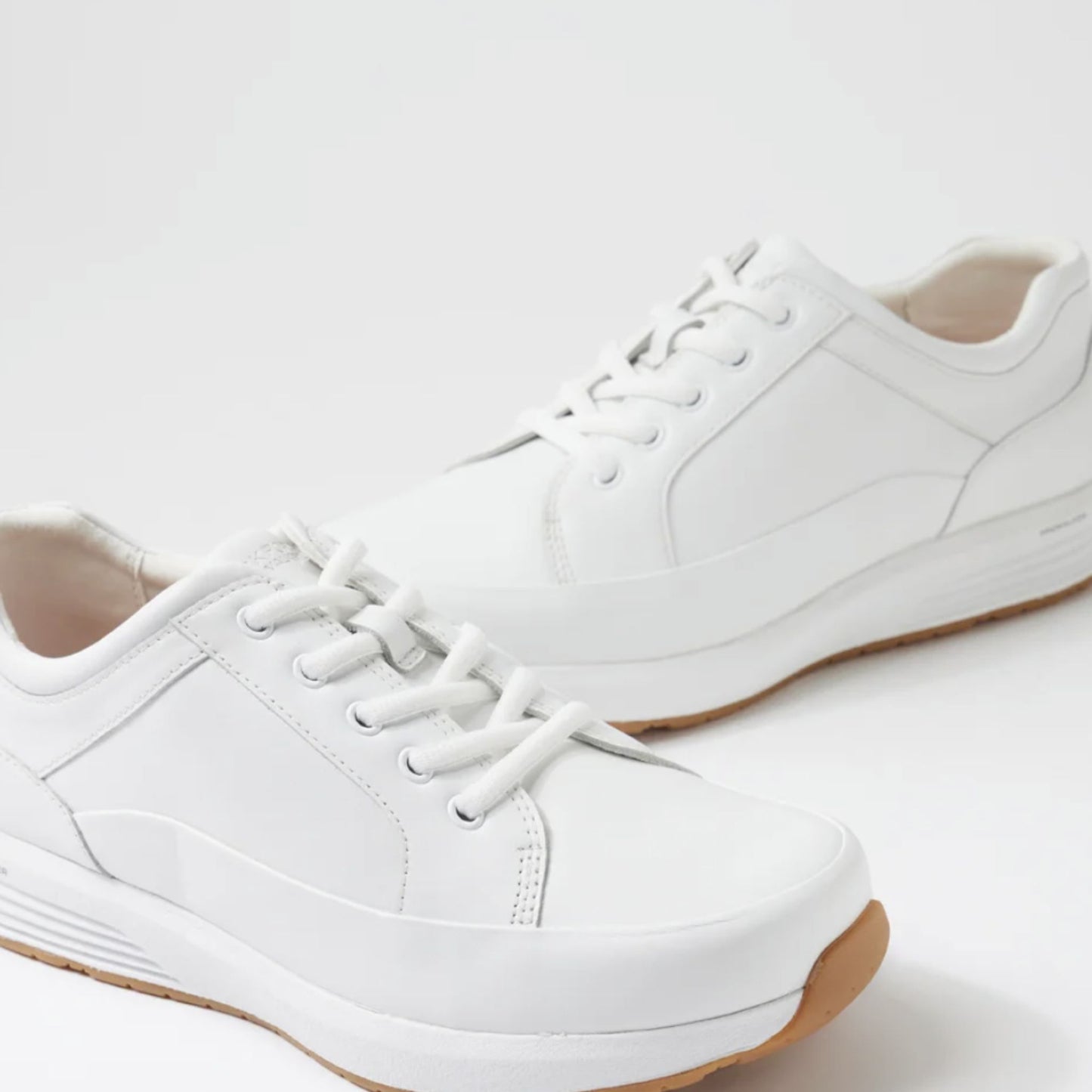 Rockport ProWalker RO