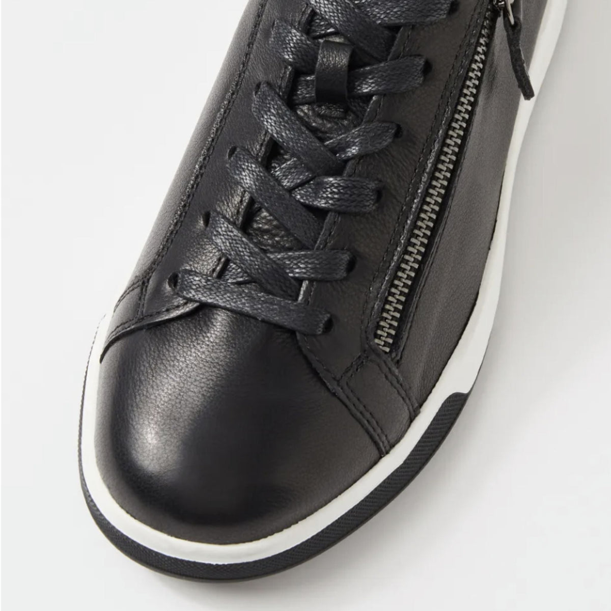 Ziera Aito Xf sneaker - My Shoe Specialist & My School Shoes