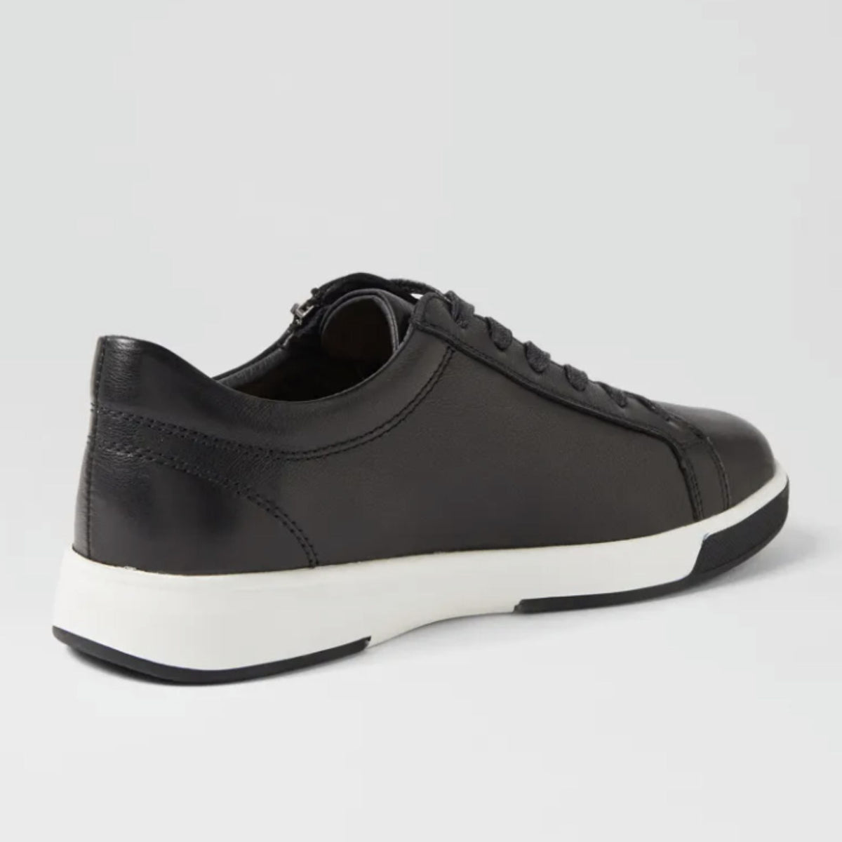 Ziera Aito Xf sneaker - My Shoe Specialist & My School Shoes