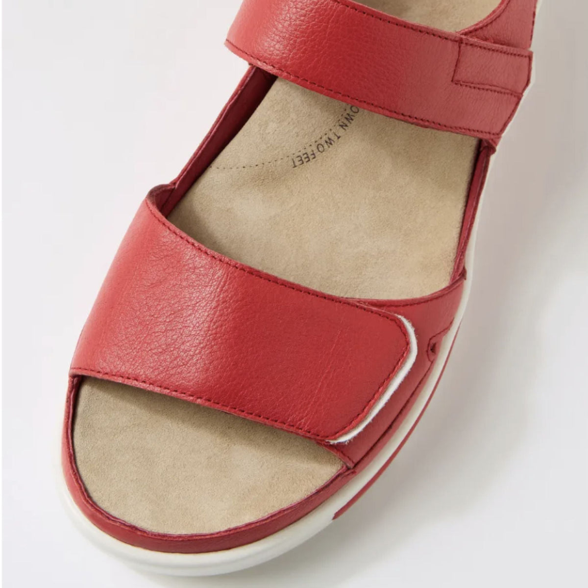 Ziera Gedd W Leather Sandals - My Shoe Specialist & My School Shoes