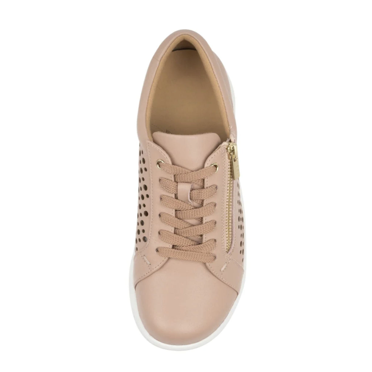 Ziera Shovo XF-ZR - My Shoe Specialist & My School Shoes
