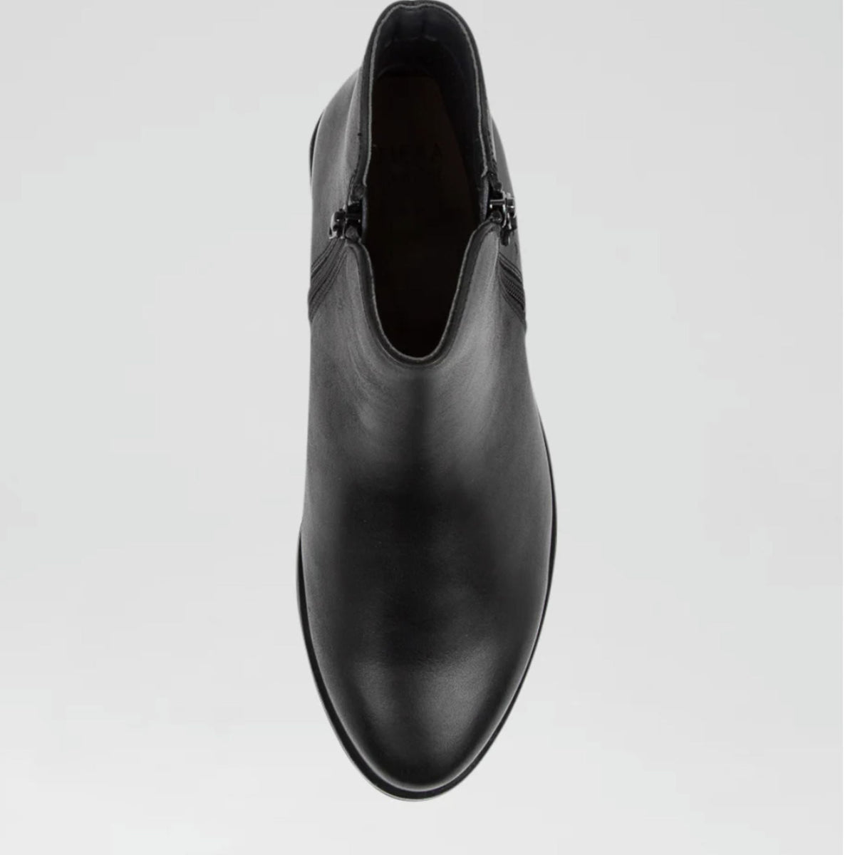 Ziera Skylars XF-ZR - My Shoe Specialist & My School Shoes