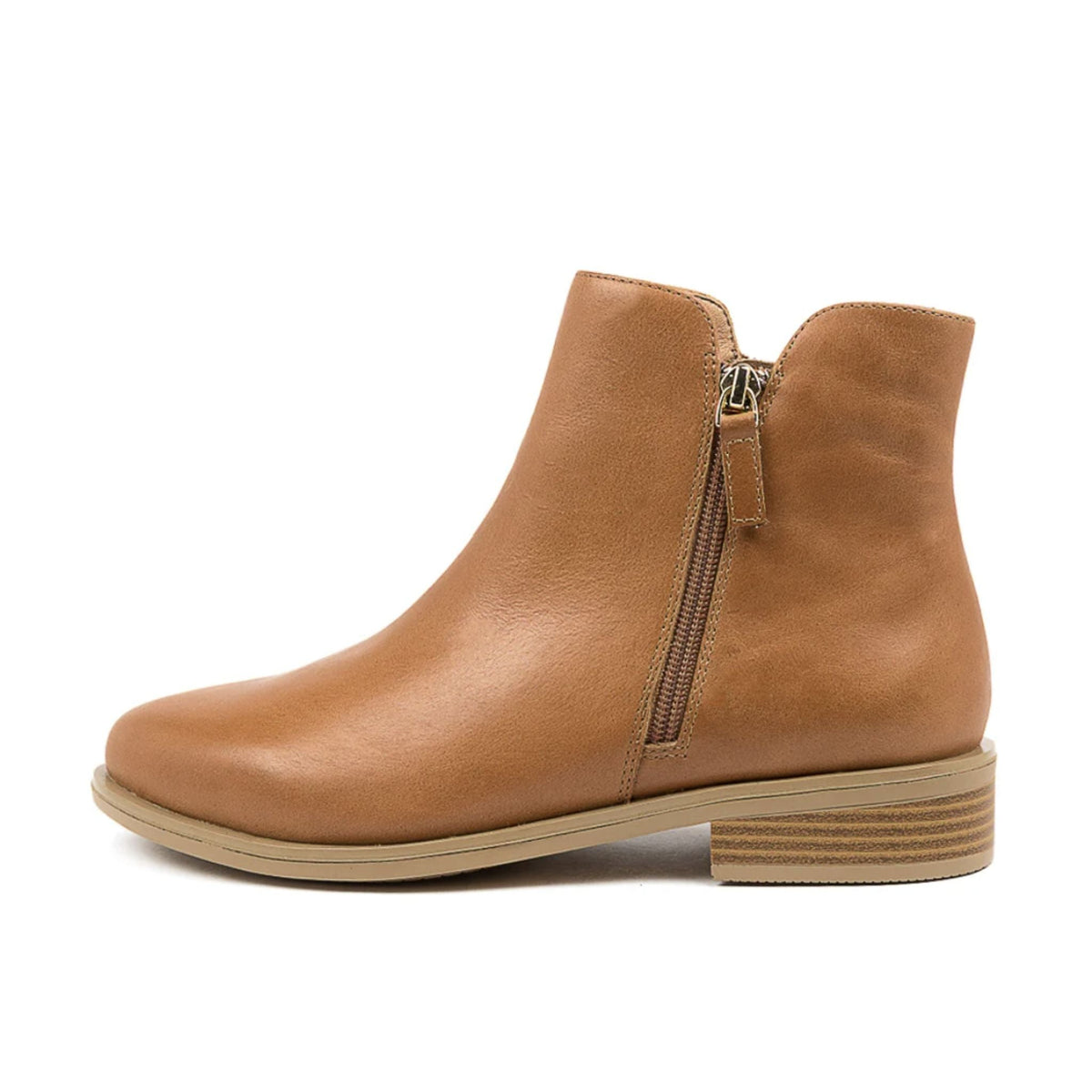 Ziera Skylars XF-ZR - My Shoe Specialist & My School Shoes