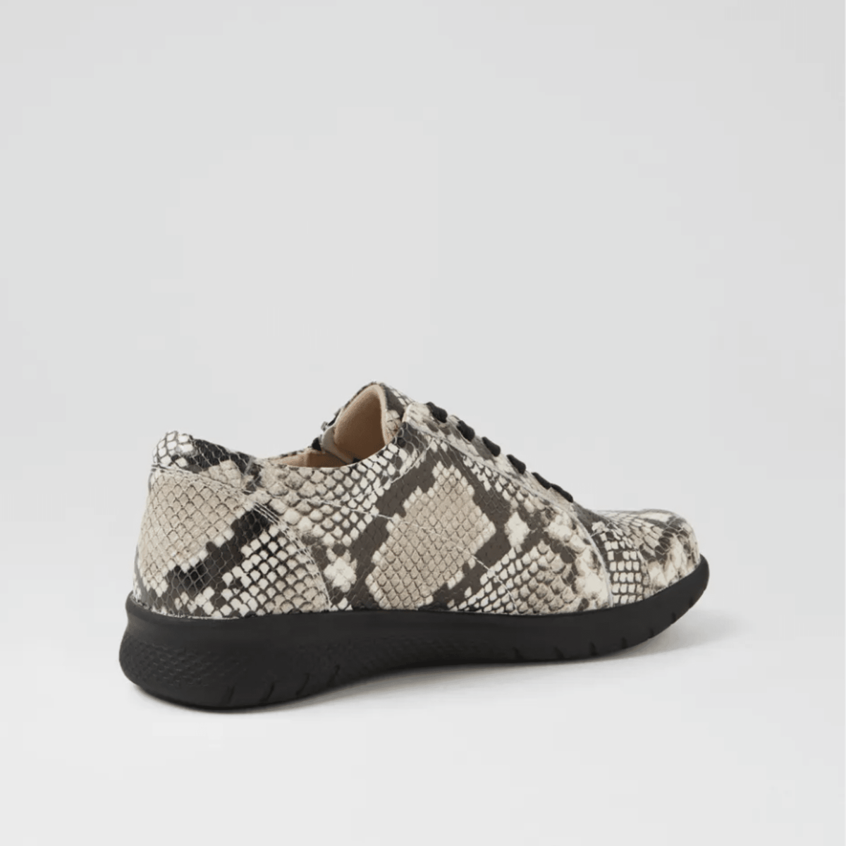 Ziera Solar Blk/Wht/Snake XF-ZR - My Shoe Specialist & My School Shoes