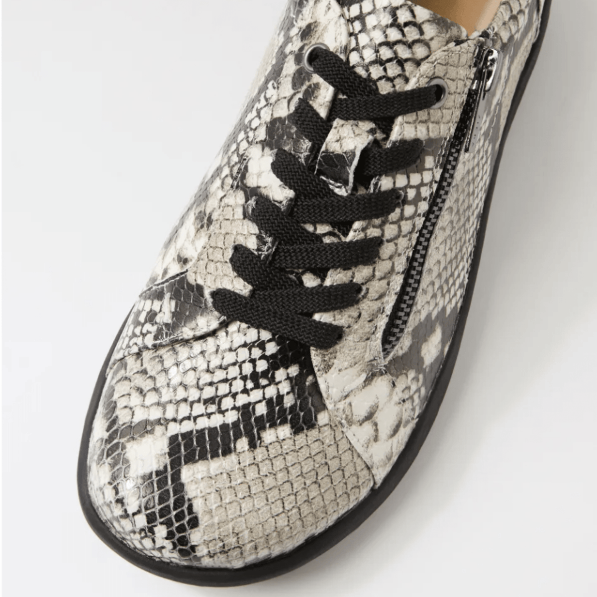 Ziera Solar Blk/Wht/Snake XF-ZR - My Shoe Specialist & My School Shoes