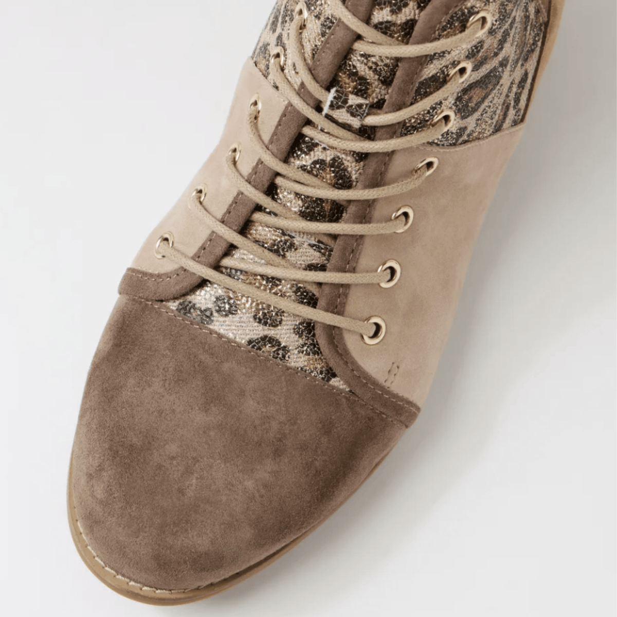 Ziera Tyrah XF-ZR - My Shoe Specialist & My School Shoes