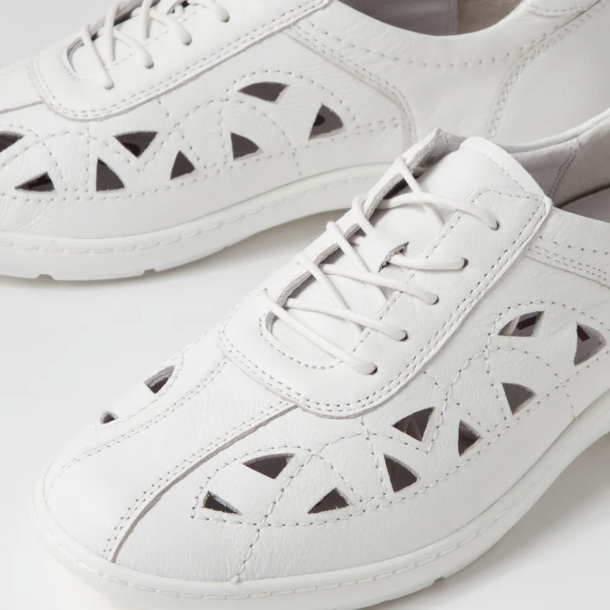 Ziera Watkin XF-ZR White - My Shoe Specialist & My School Shoes